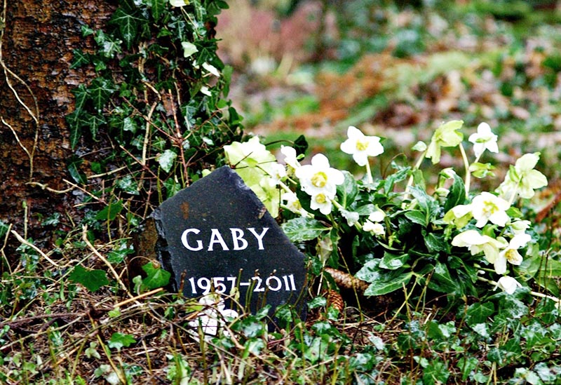 Beerdigung Begräbnis Einäscherung Bestattung Friedwald Naturbegräbniswald